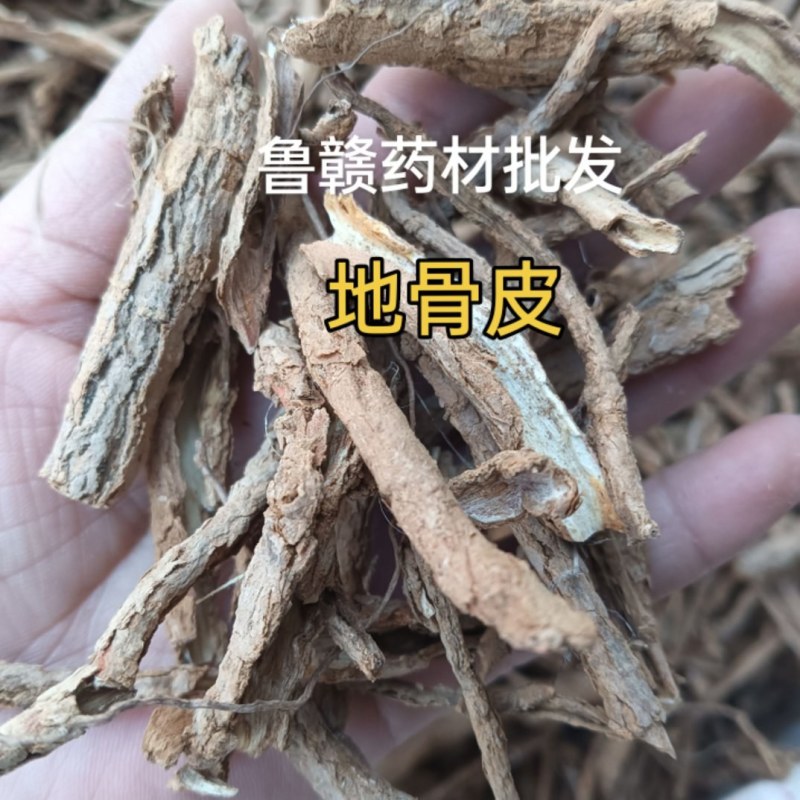 地骨皮1斤起批批发各种中药材量大优惠
