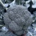 【推荐】万亩蔬菜基地西蓝花大量上市,需要的老板联系