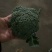 【推荐】万亩蔬菜基地西蓝花大量上市,需要的老板联系
