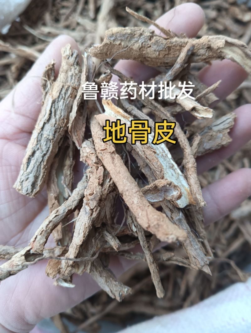 地骨皮1斤起批批发各种中药材量大优惠