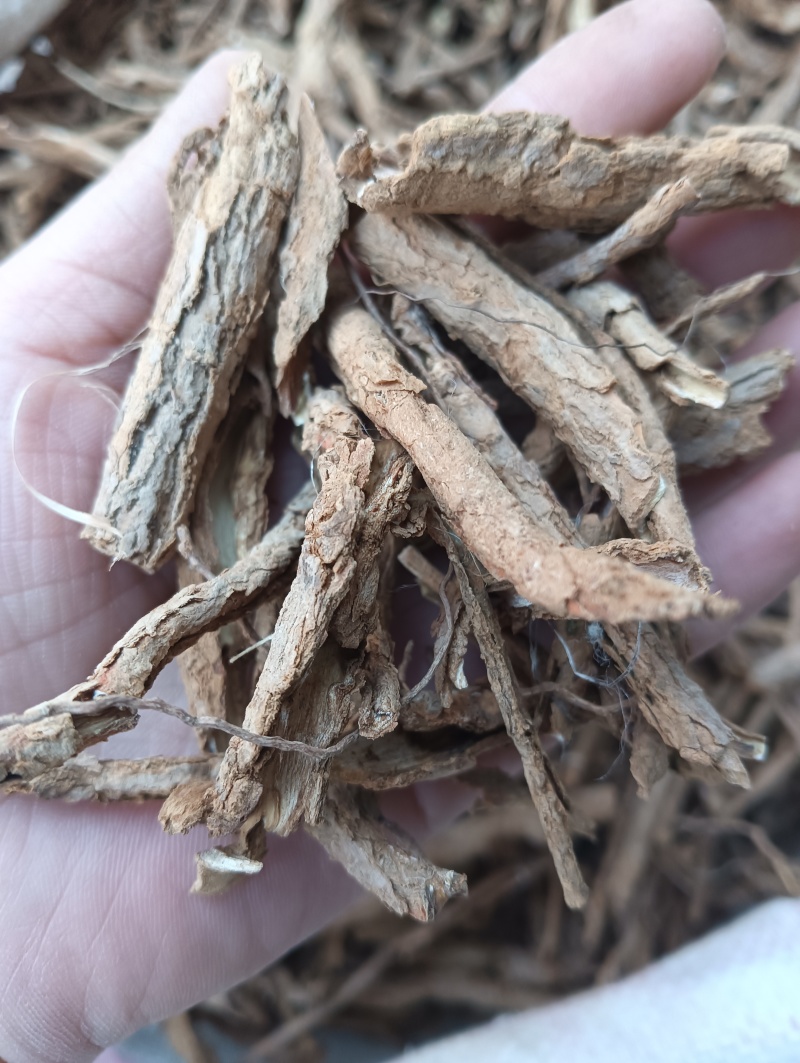 地骨皮1斤起批批发各种中药材量大优惠