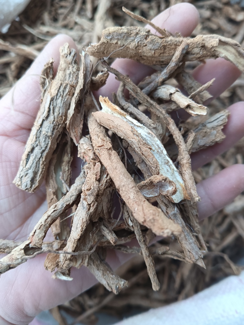 地骨皮1斤起批批发各种中药材量大优惠