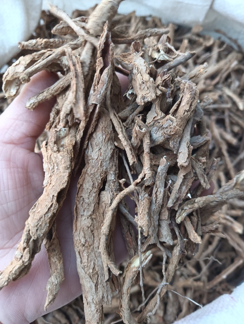 地骨皮1斤起批批发各种中药材量大优惠