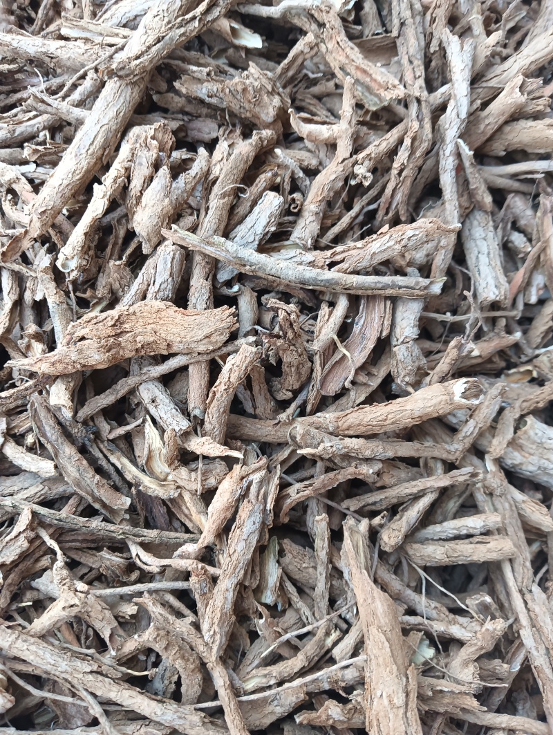 地骨皮1斤起批批发各种中药材量大优惠
