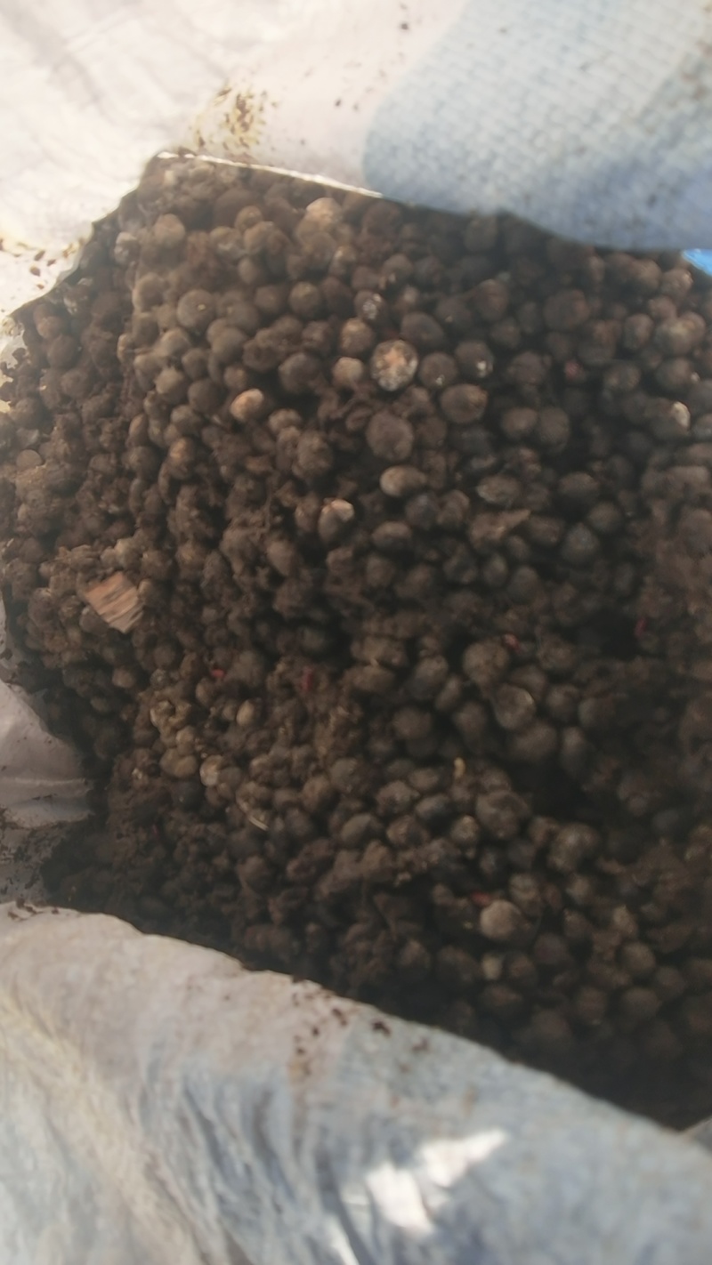 【精选】发酵兔粪大型肉兔养殖场直供（随时有货）量大从优