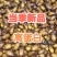 2025新鲜金龟子瞎碰，胖小孩，
