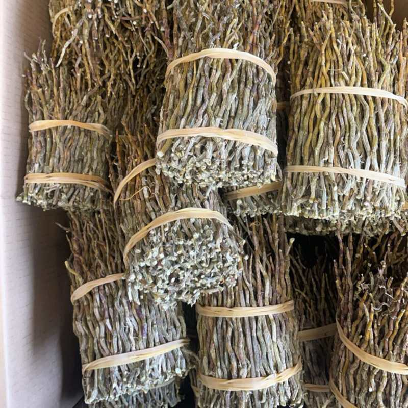 铁皮石斛捆条大货批发一手货源
