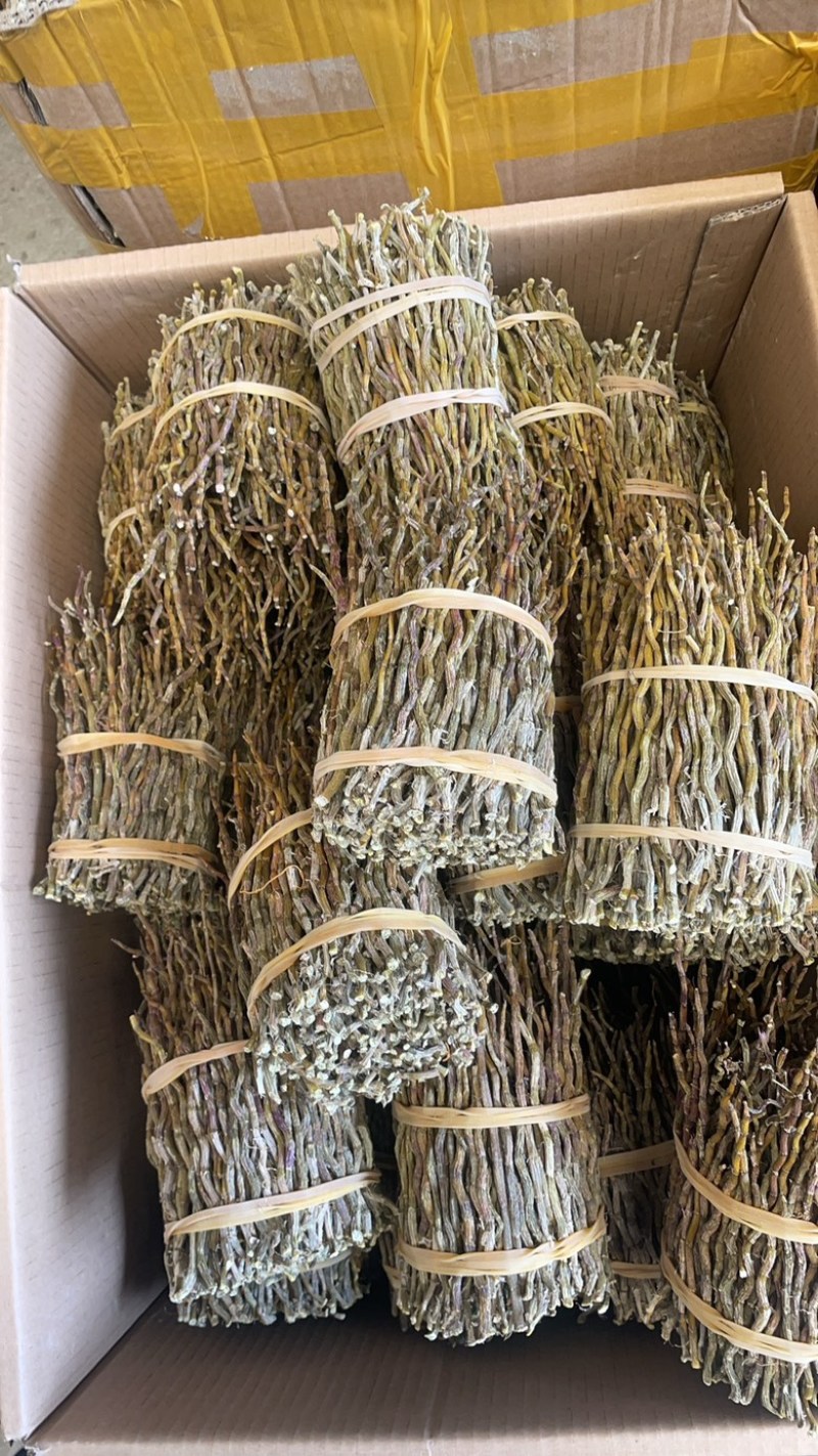 铁皮石斛捆条大货批发一手货源
