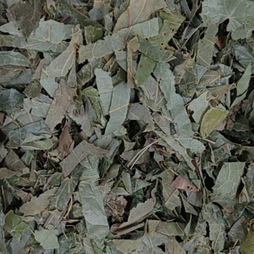 淫羊藿产地价格