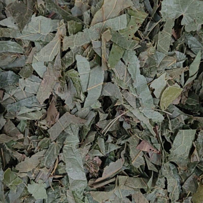 淫羊藿产地价格