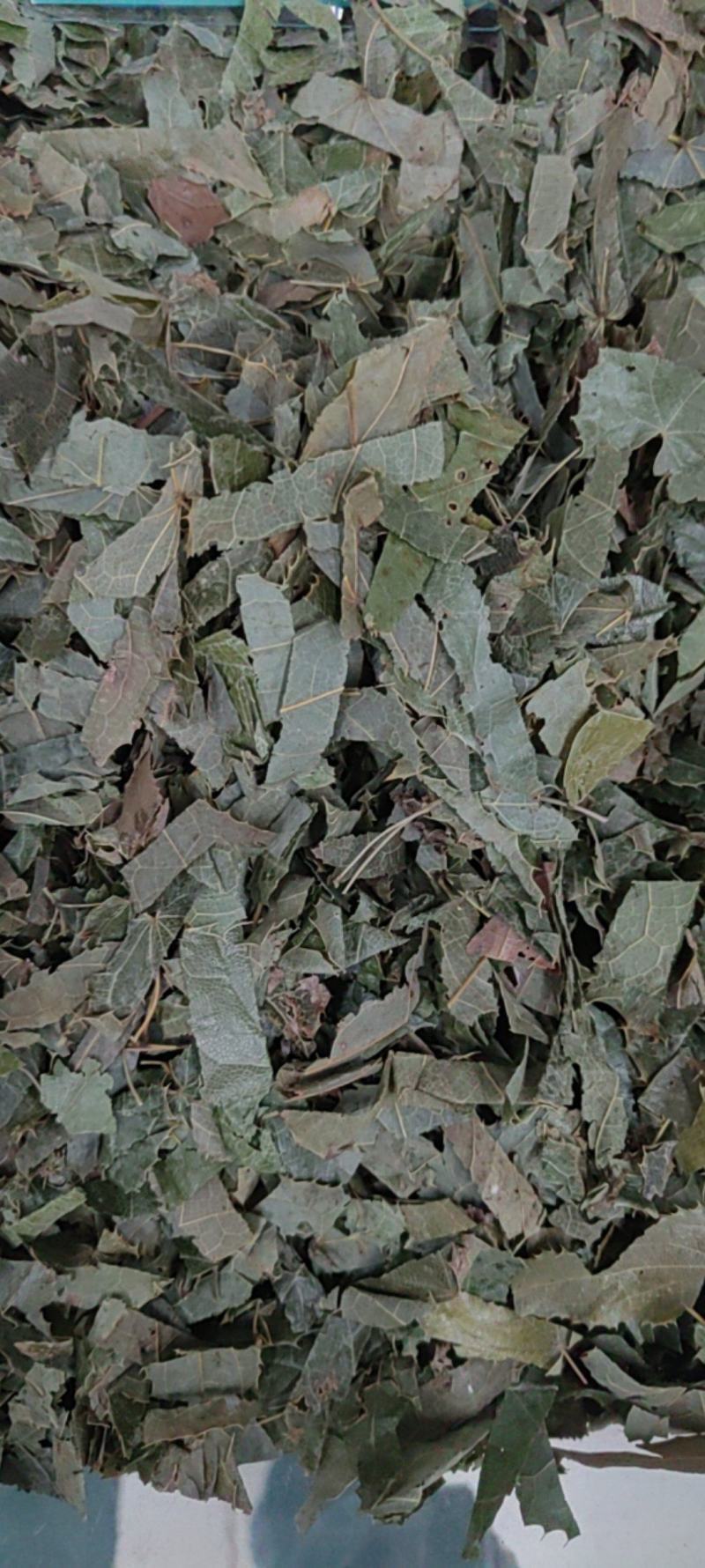 淫羊藿产地价格