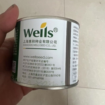 惠和早佳8424西瓜种子，桃红肉，松脆多汁，耐逆性好