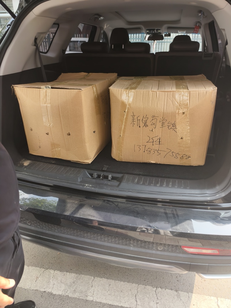 白鲜皮苗供应各种规格，保证质量数量