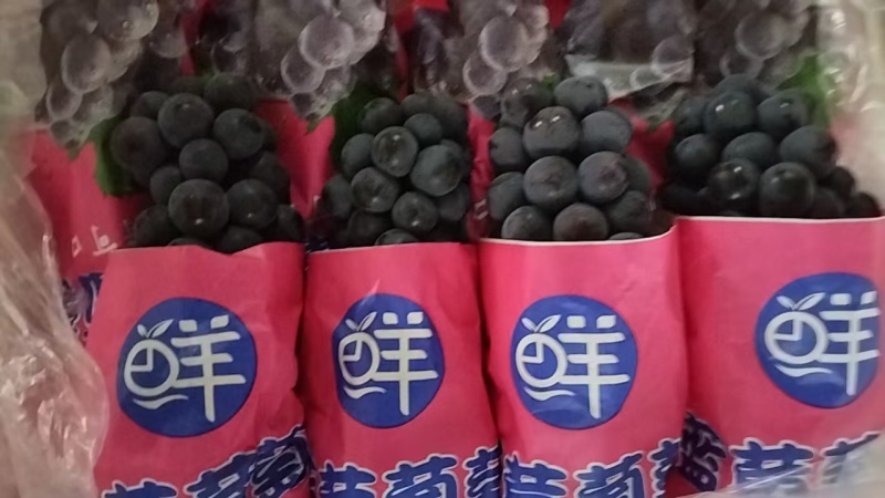 精品葡萄，夏黑，新鲜水果大量成熟，工厂加工烤酒都有