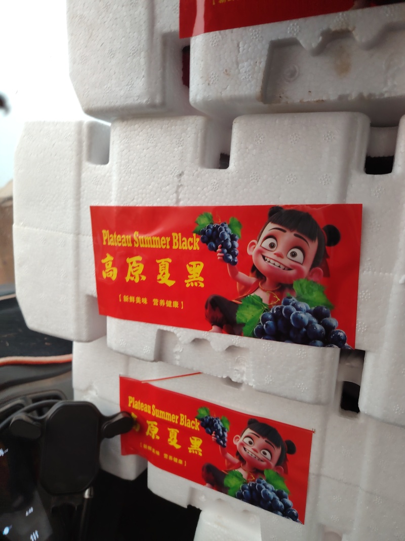 精品葡萄，夏黑，新鲜水果大量成熟，工厂加工烤酒都有