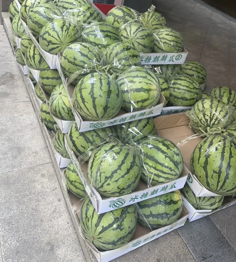 【推荐】江苏东台精品美都西瓜供应市场商超电商量大价优