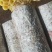菌棒，榆黄菇菌包