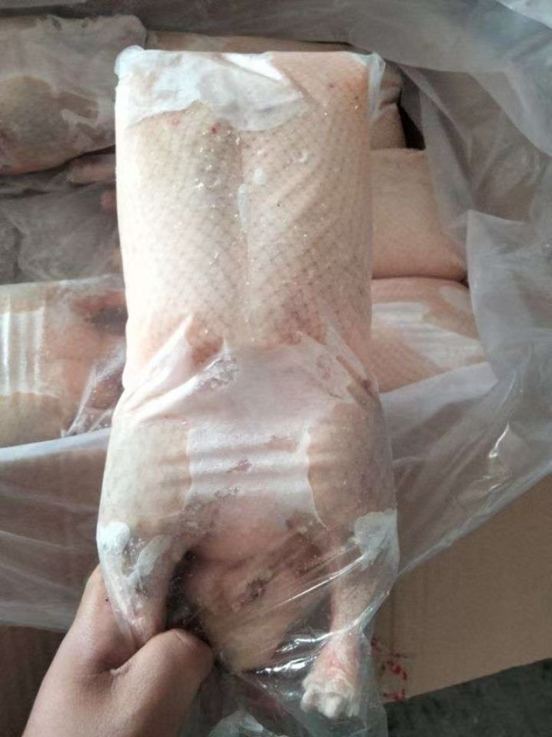 个人存货白条鸭10501月份的货低价出