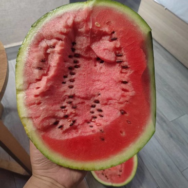 西瓜全网***