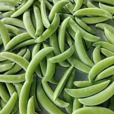 甜豌豆，甜豆