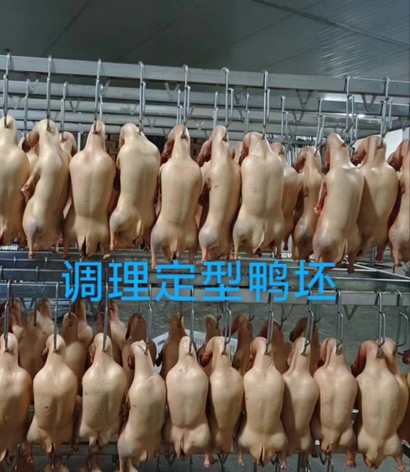 华鸭调理鸭坯型号全需要私聊