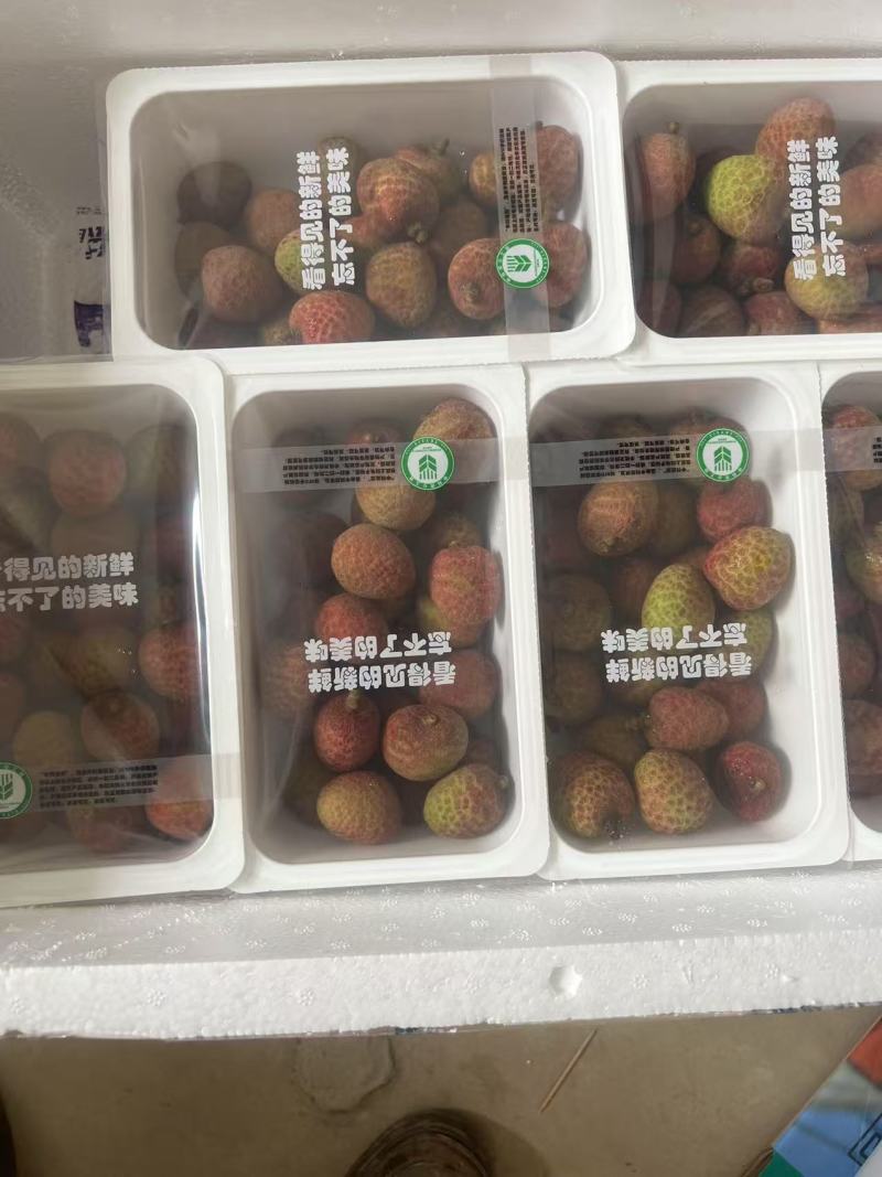 热带水果海南荔枝，桂花香，妃子笑