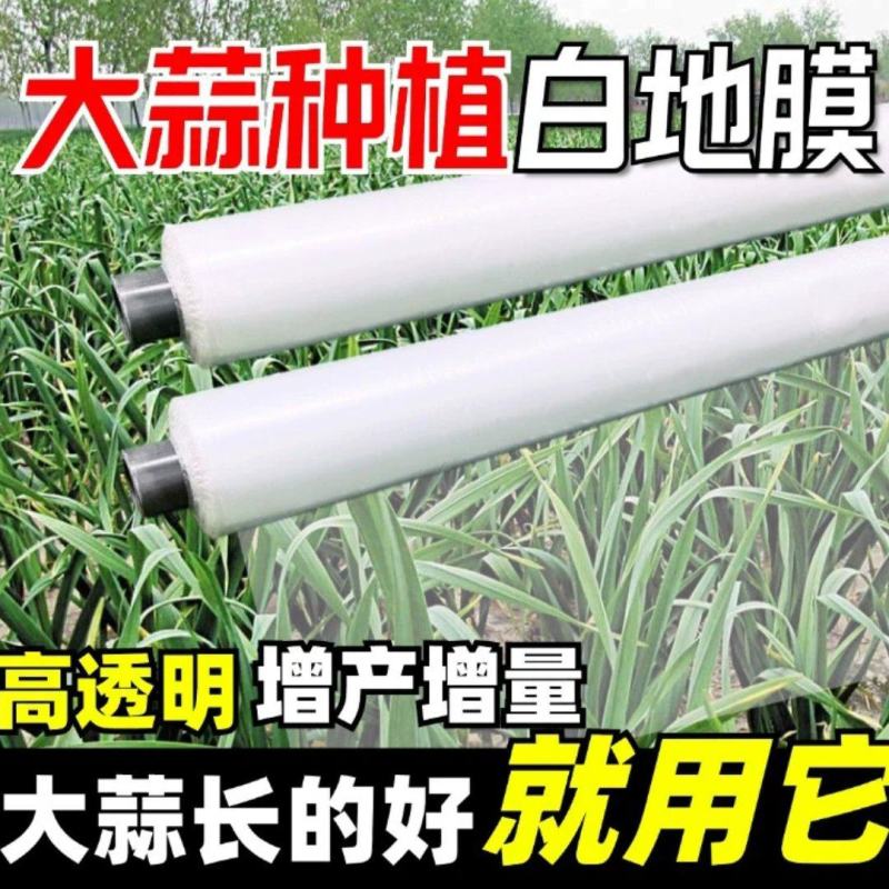 大蒜种植专用白色免勾地膜