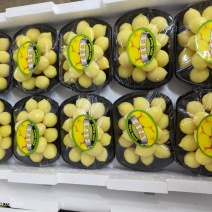精品中的精品