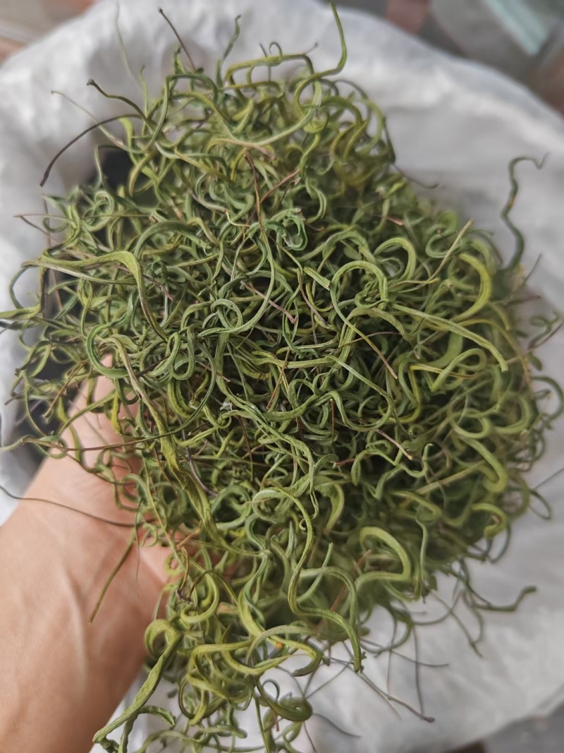 野生肾精草，长在悬崖峭壁上，新鲜干净，原产地发货，大量有