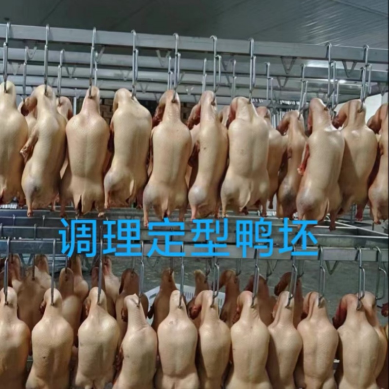 定型调理鸭坯需要私聊电询