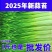 陕西周至头茬新蒜苔现摘现发，对接全国各地客商，一件代发