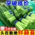 陕西周至头茬新蒜苔现摘现发，对接全国各地客商，一件代发