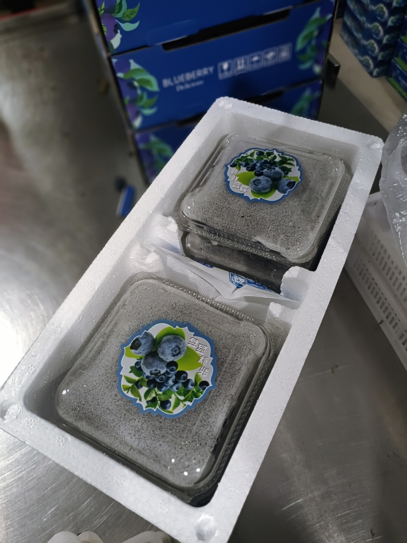 05大凉山L25花香蓝莓原产地批发一件代发社区团购
