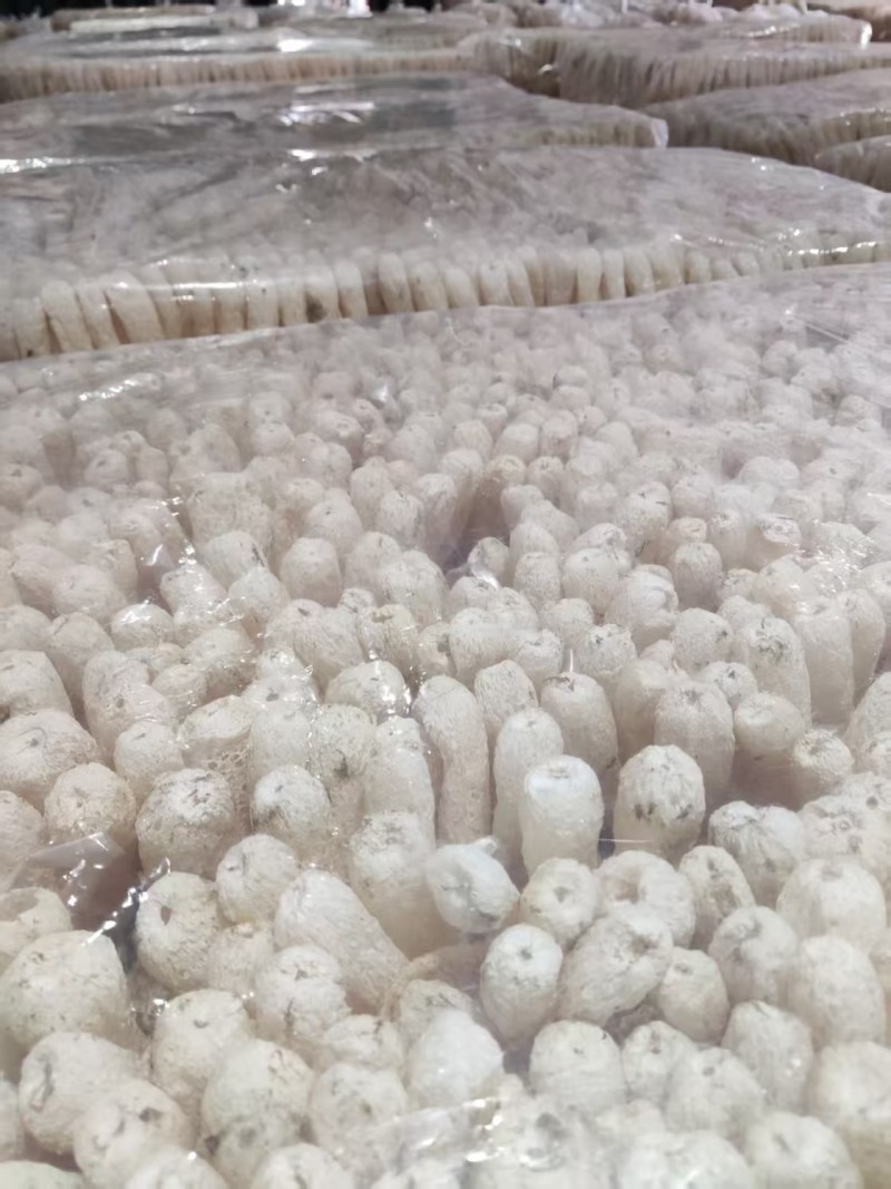 精品竹荪量大从优全国可发规格齐全价格透明视频看
