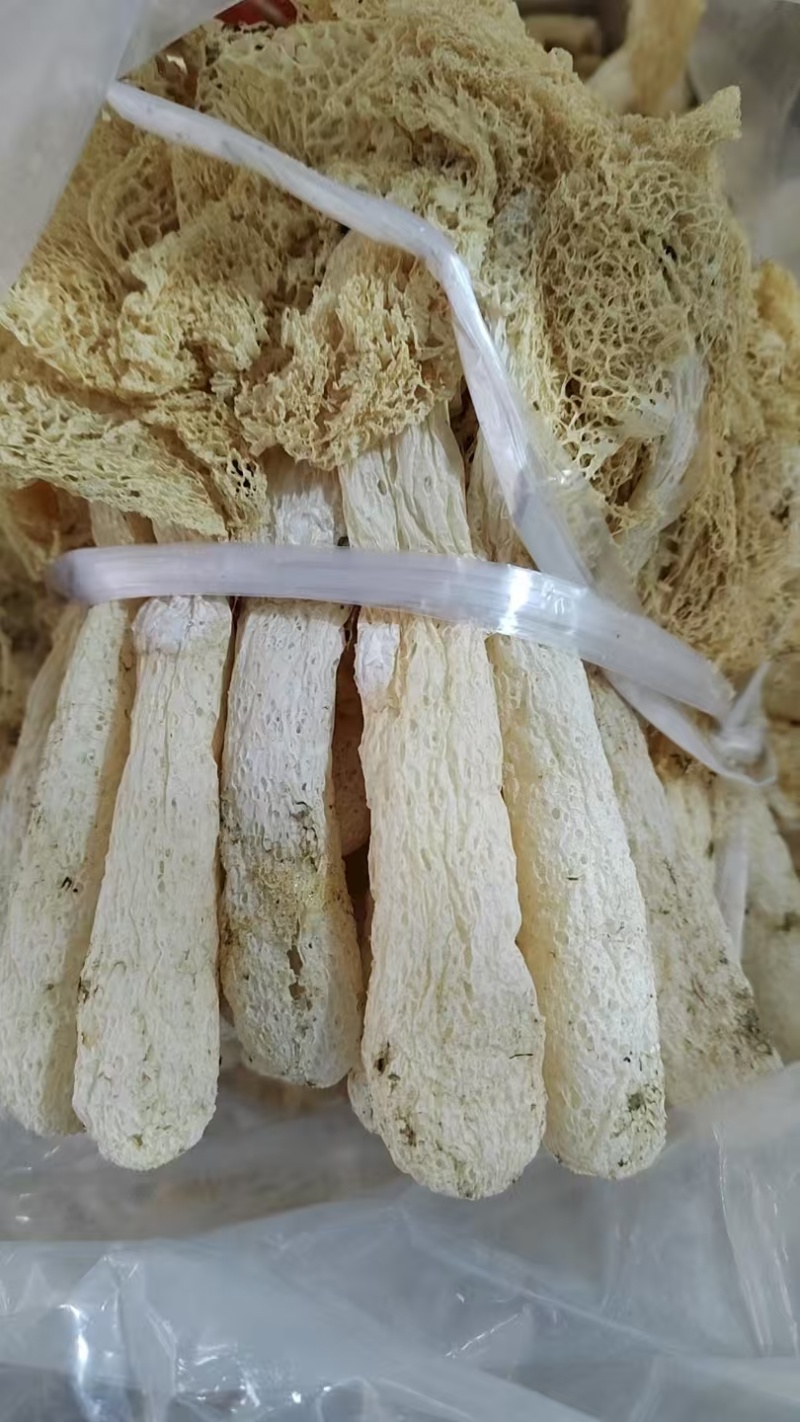 精品竹荪量大从优全国可发规格齐全价格透明视频看