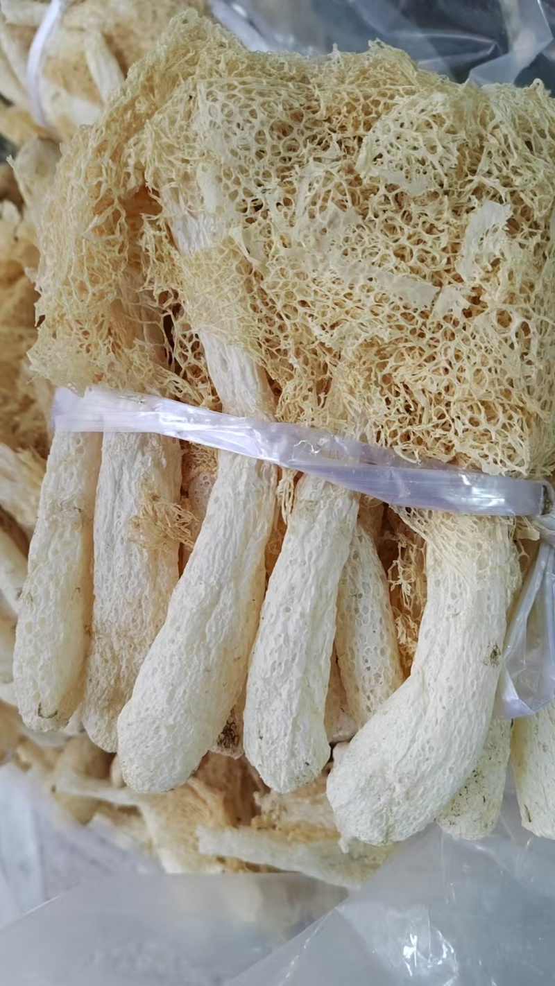 精品竹荪量大从优全国可发规格齐全价格透明视频看