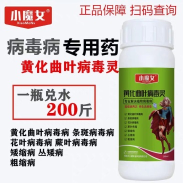 蔬菜番茄西红柿葫芦辣椒黄瓜曲叶花叶病毒病专用药叶面肥