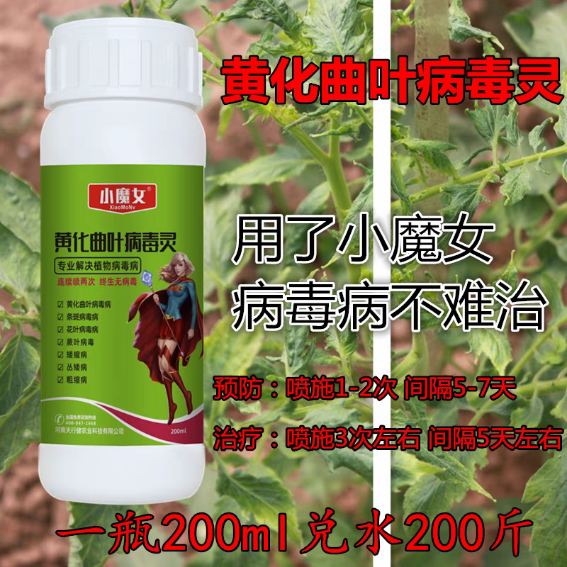 蔬菜番茄西红柿葫芦辣椒黄瓜曲叶花叶病毒病专用药叶面肥