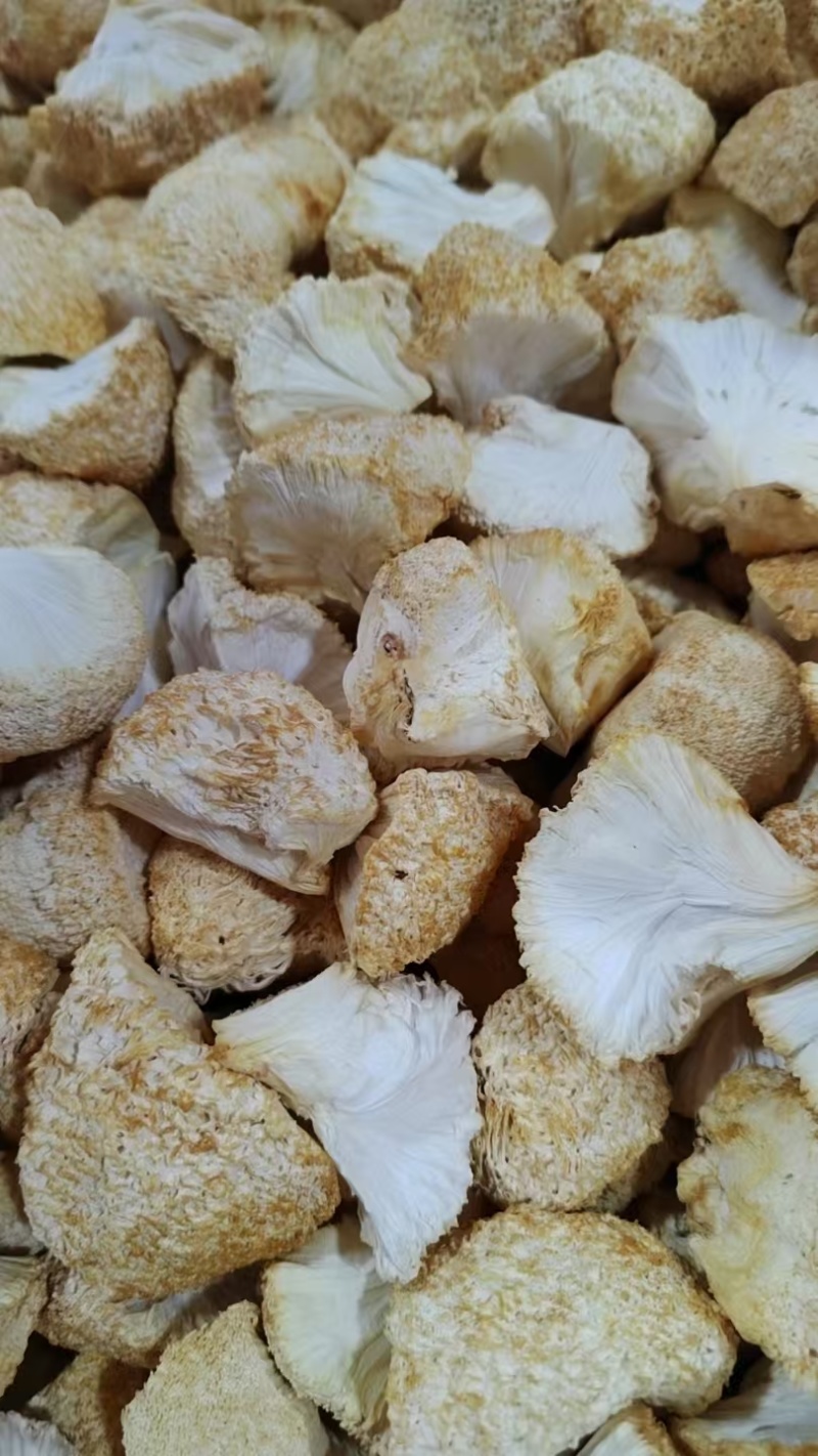 精品猴头菇现货速发规格齐全量大从优代发全国
