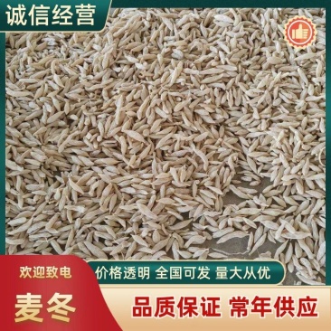 四川精品川麦冬品质保证厂家直发诚信经营