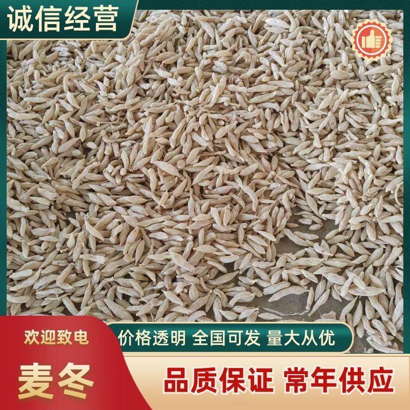 四川精品川麦冬品质保证厂家直发诚信经营