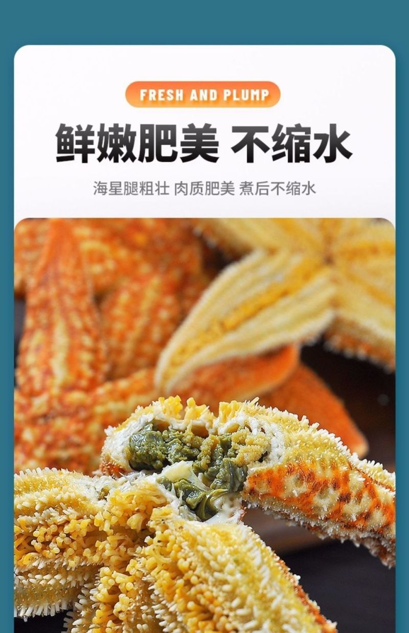 海星海鲜鲜活食用野生新鲜海五星满籽速冻海星