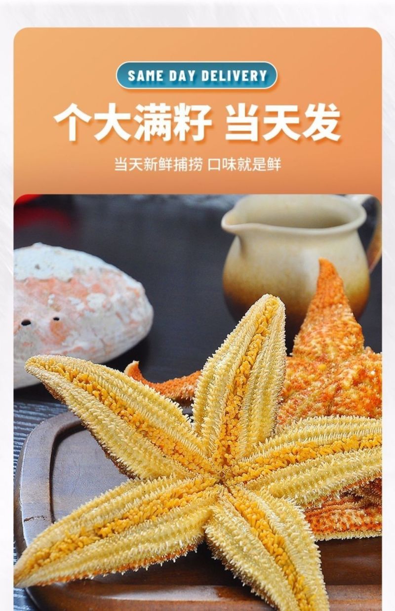 海星海鲜鲜活食用野生新鲜海五星满籽速冻海星