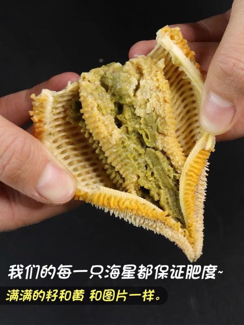 海星海鲜鲜活食用野生新鲜海五星满籽速冻海星