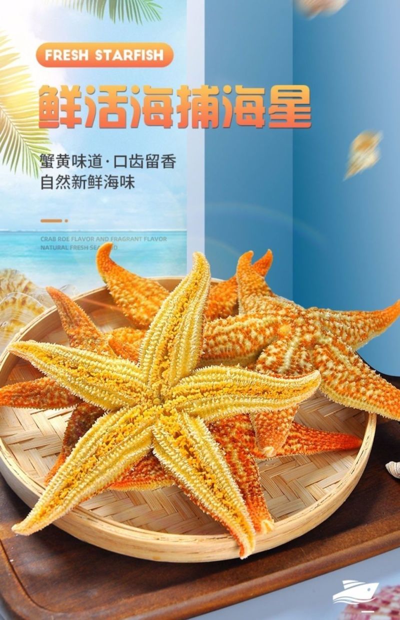 海星海鲜鲜活食用野生新鲜海五星满籽速冻海星