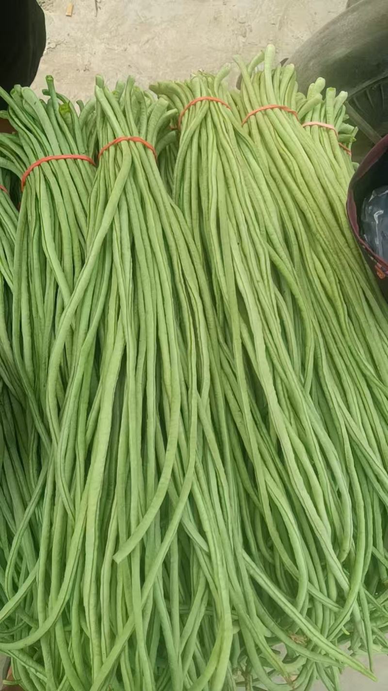 精品长豆角大量上市产地直发价格优惠品质上乘欢迎来电