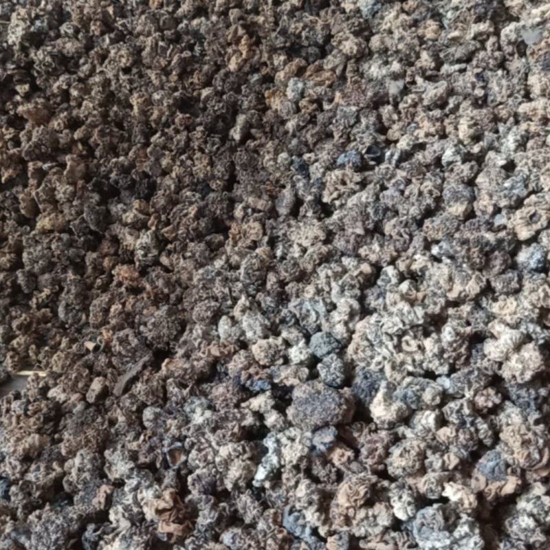猴脑菌核桃菌产地大量供货四季供货泡发率达到十五六斤