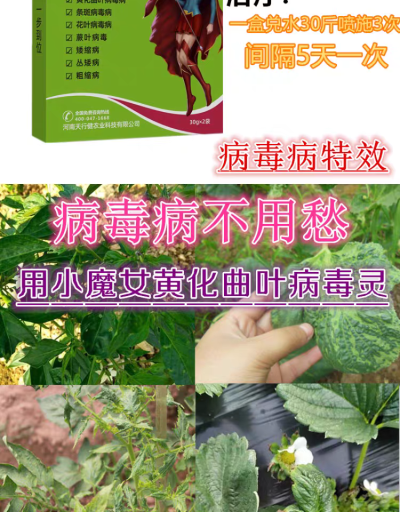 黄化曲叶病毒灵病专用药番茄辣椒草莓黄瓜病毒病杀菌药剂