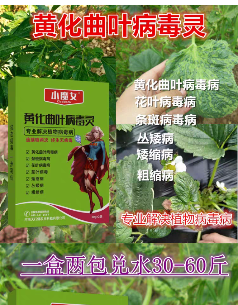 黄化曲叶病毒灵病专用药番茄辣椒草莓黄瓜病毒病杀菌药剂