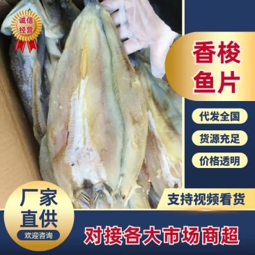 香梭鱼片、开背去内脏、常年有货、薄利多销常年供货